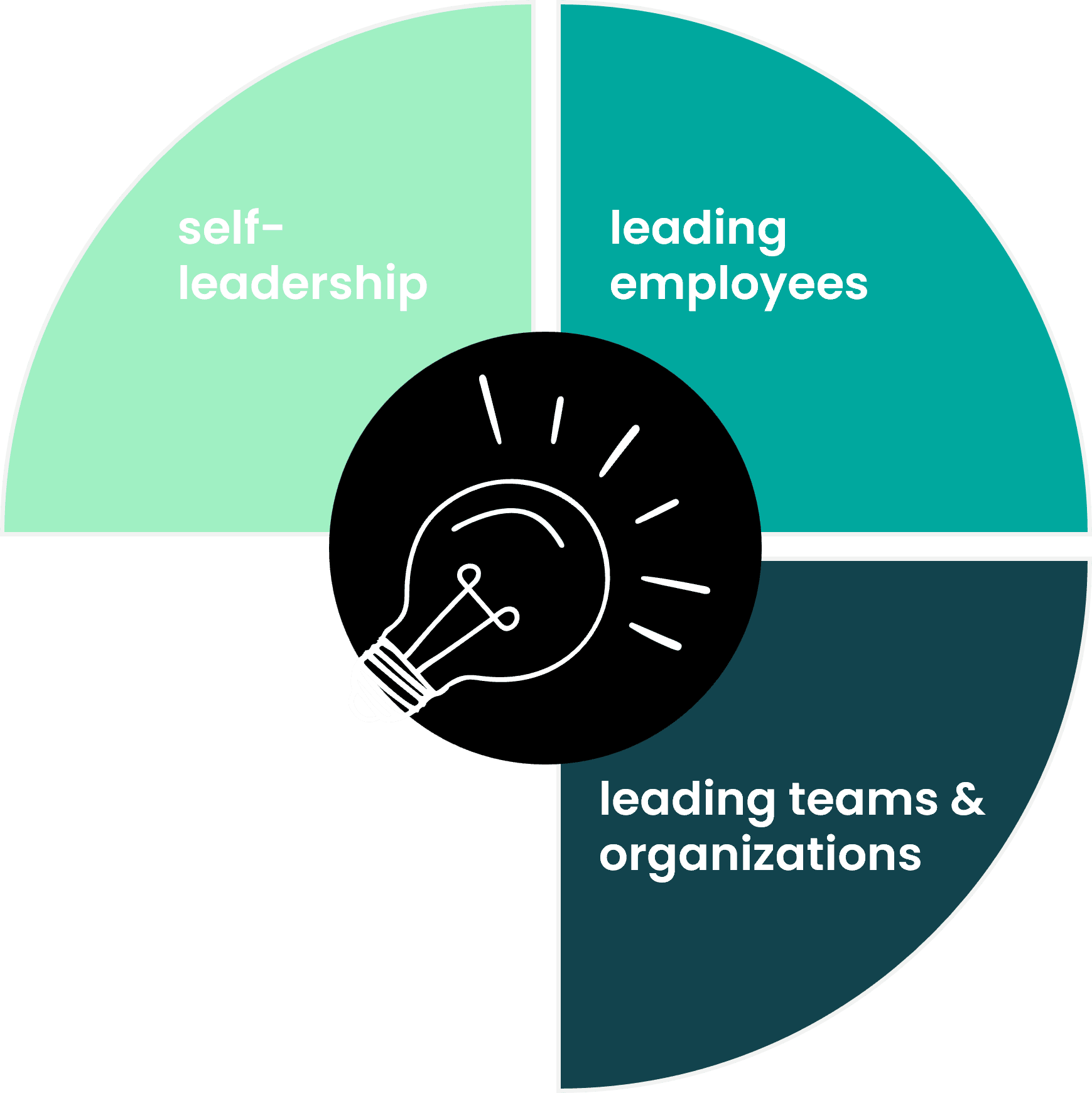 The graphic highlights three leadership development areas: self-leadership, leading employees, and leading teams & organizations.
