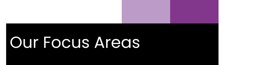 Our Focus Areas