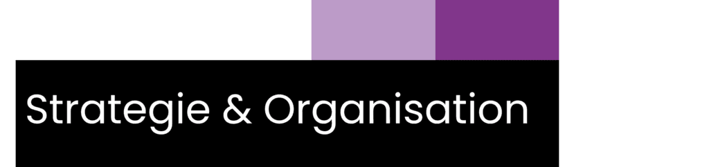 Strategie & Organisation
